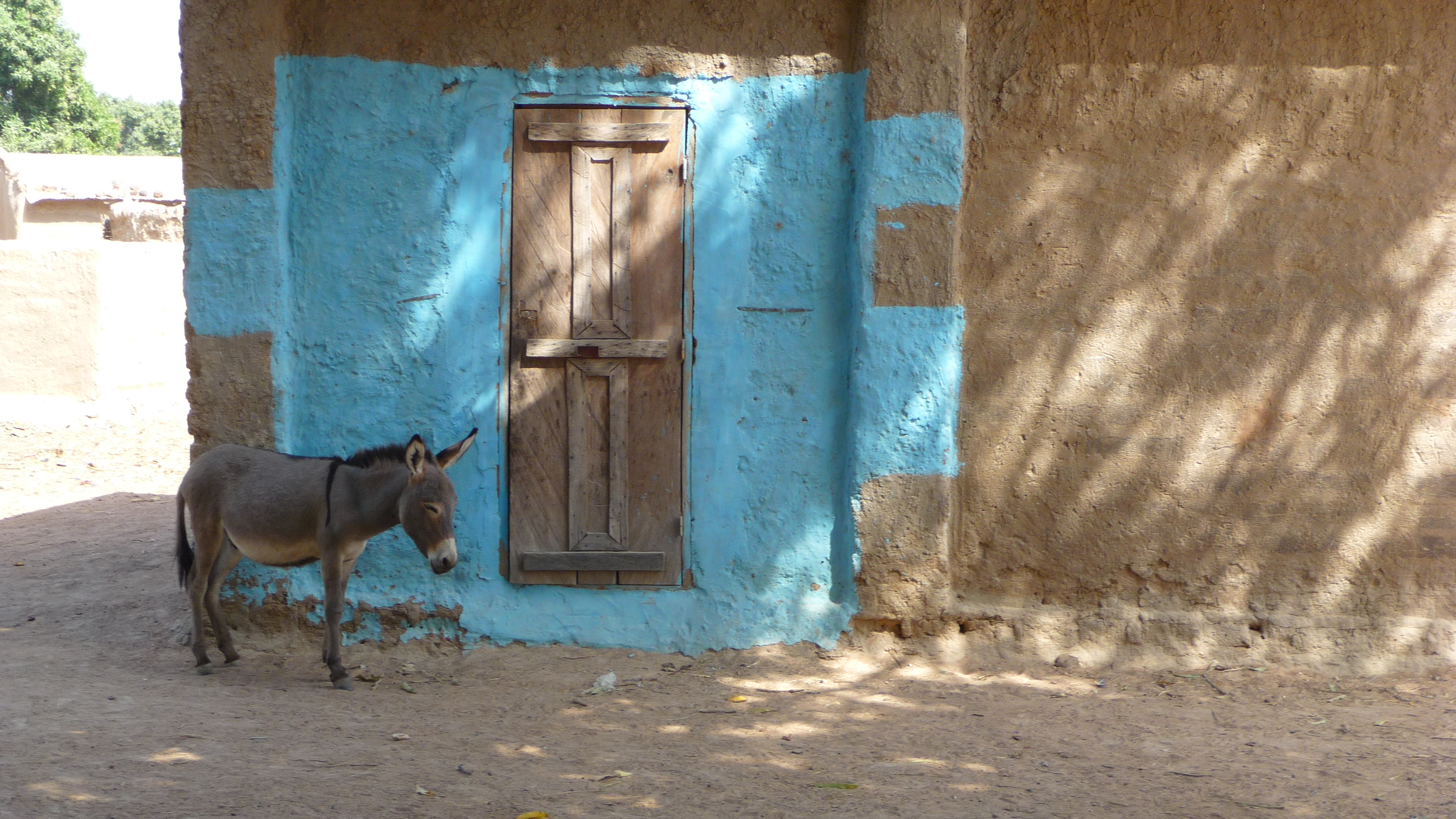 Stage d'initiation aux percussions africaines
